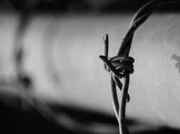 Was-bringt-der-War-on-Drugs-in Deutschland?