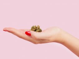 cannabis pms regelschmerzen