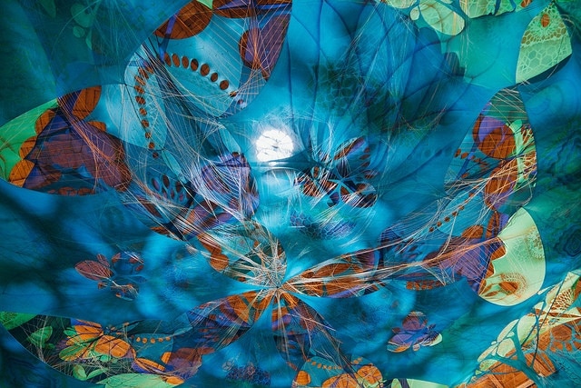 OZORA-Festival