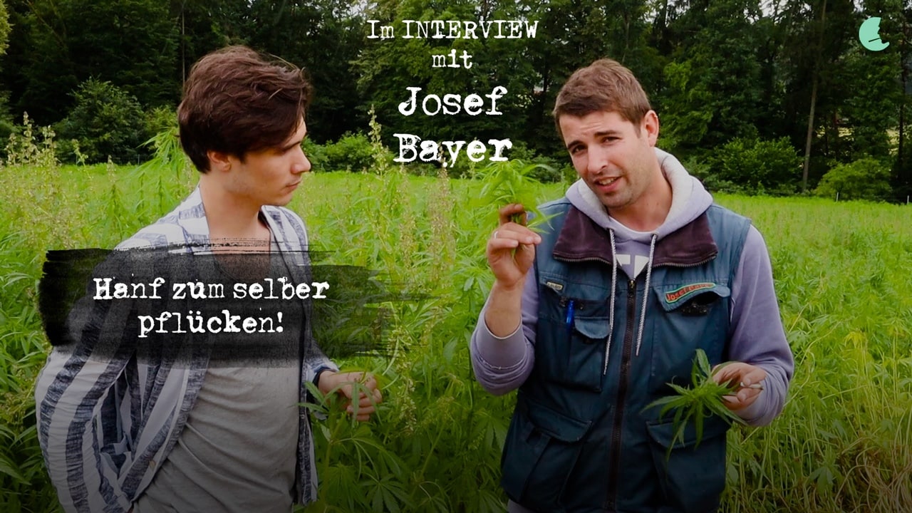 Das erste Selbstpflückfeld für Hanf: Ein Interview mit Josef Bayer