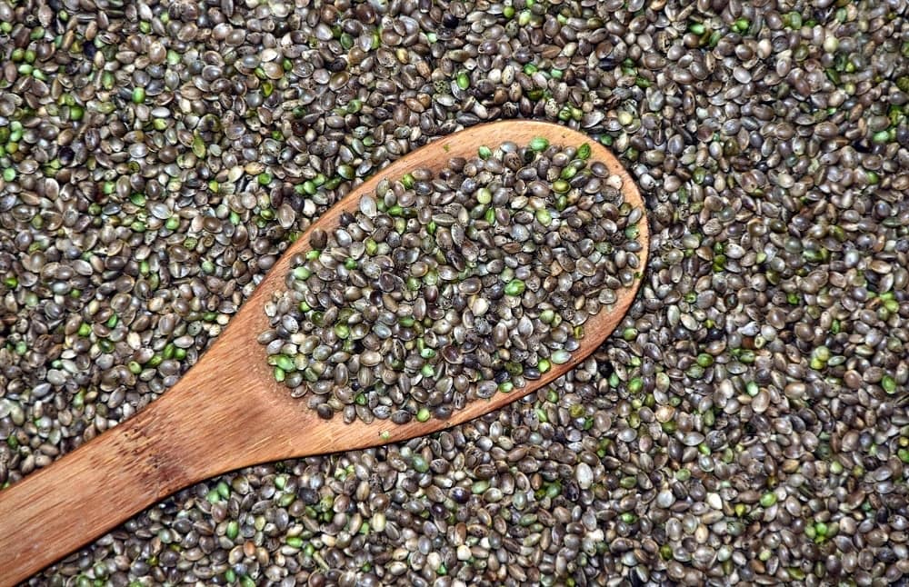hanf-superfood