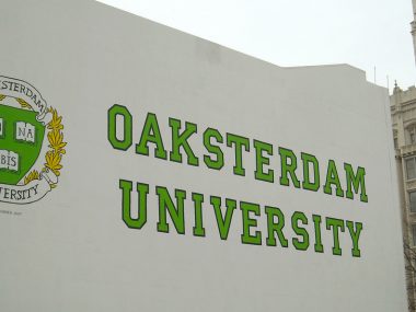 cannabis-universitaet