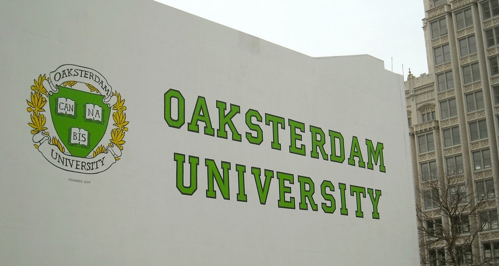 Kiffen mit Diplom – Ab jetzt kannst du Cannabis an der Uni studieren