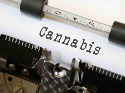 cannabis-medien