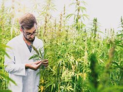 CBD-Medizin