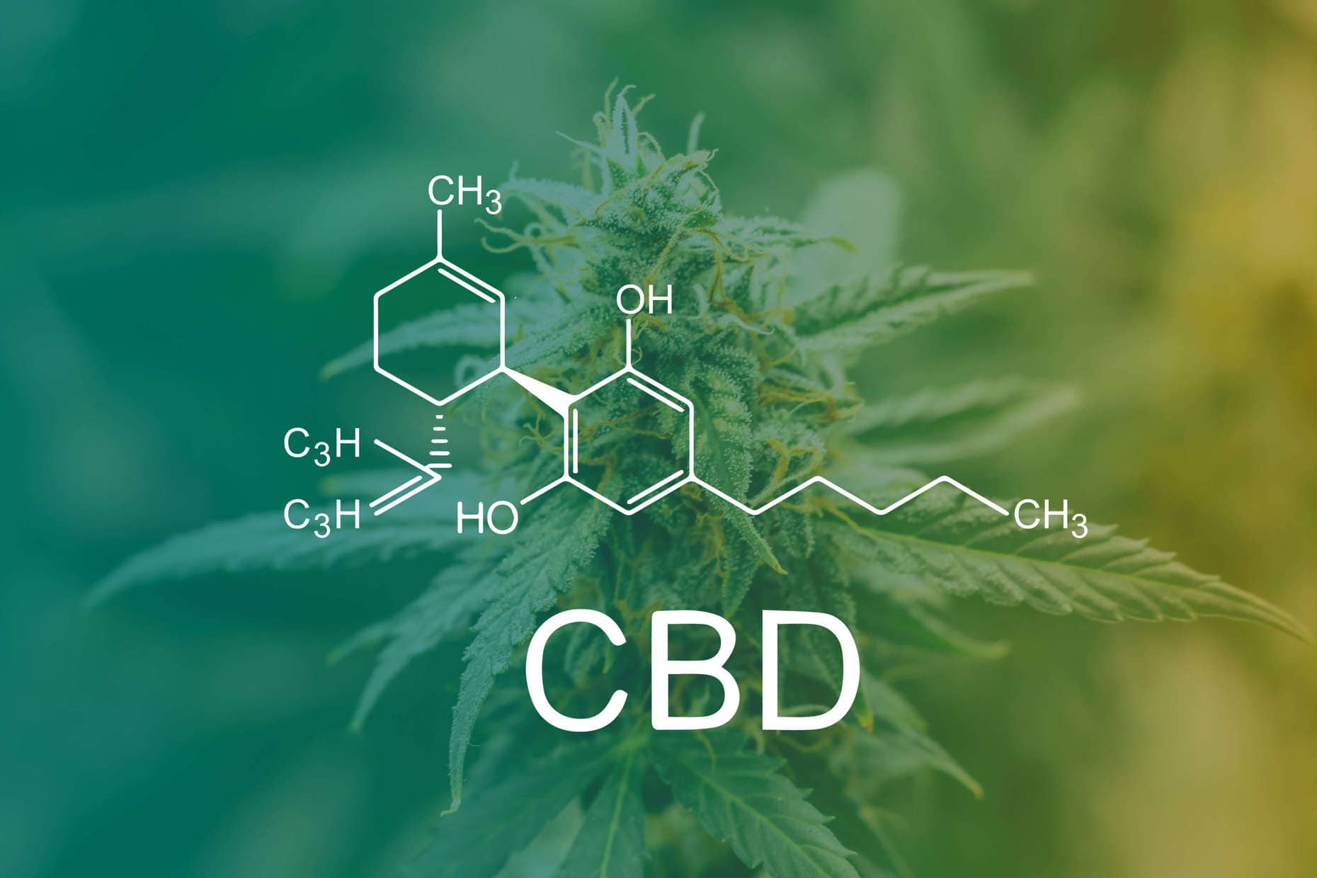 CBD-Autismus