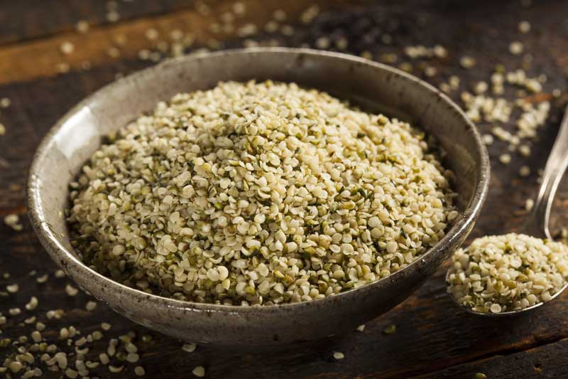 Food Trend Cannabis: Der  Hype um den Hanf