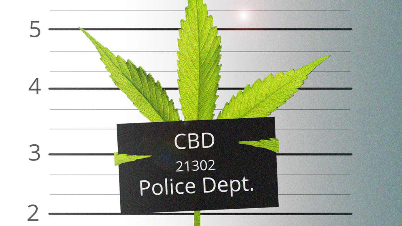 Razzien gegen CBD – im Auftrag des Volkes oder jenseits der Vernunft?