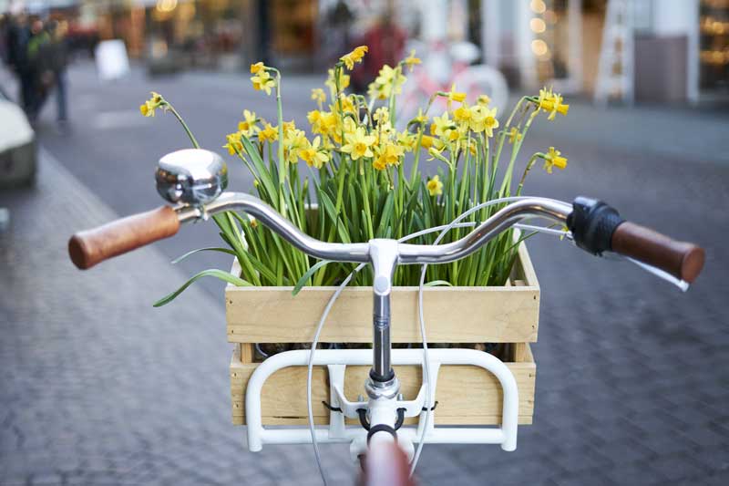 Unsere Top 5: Fit & kostenlos durch den Frühling