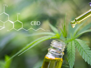 Cbd-Öl-vollspektrum-isolat-unterschied