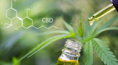 Cbd-Öl-vollspektrum-isolat-unterschied
