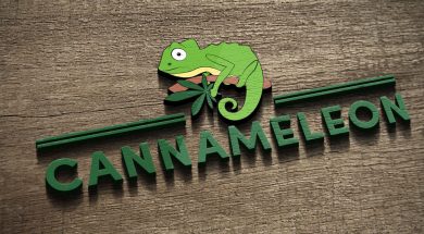 logo-mockup