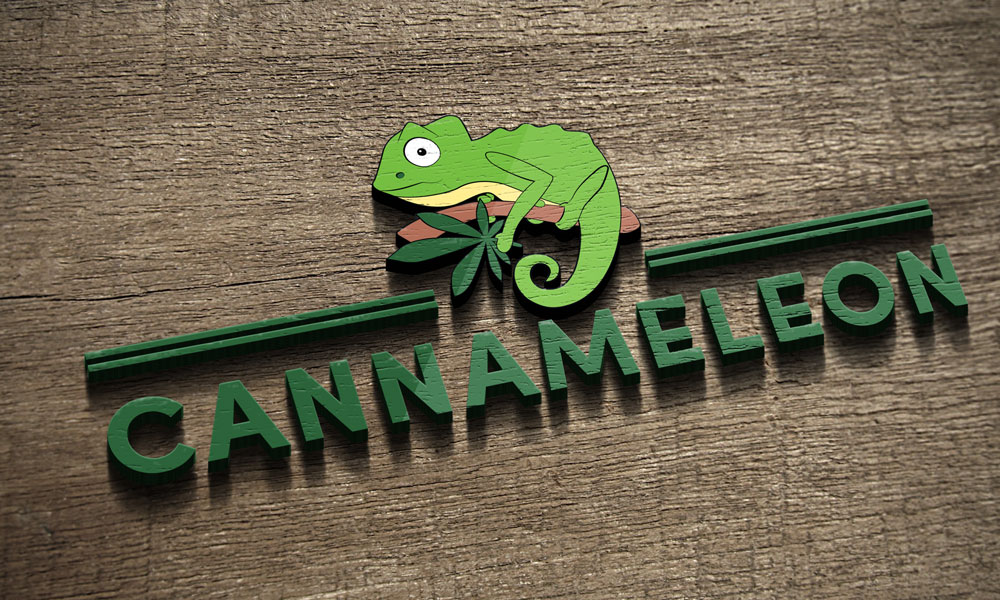 Nach Razzia bei Cannameleon – Rücksprache mit dem Geschäftsführer Lukas Schwarz