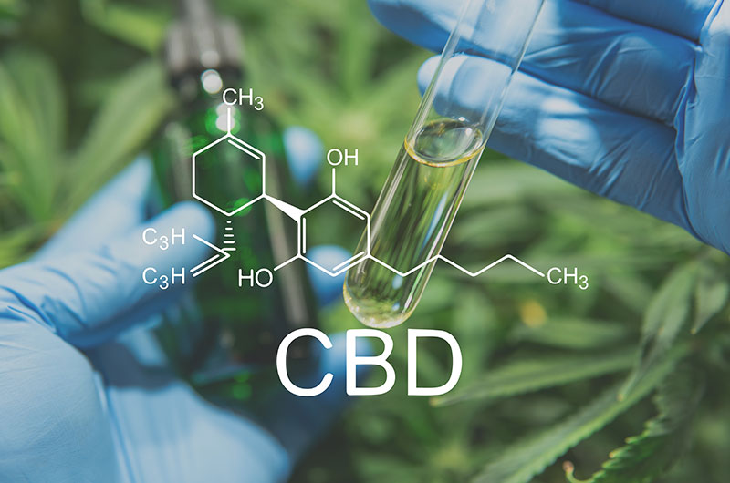 CBD als Arzneimittel: Die Einschätzung der Wissenschaftlichen Dienste