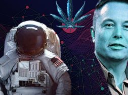 cannabis-im-weltall-elon-musk