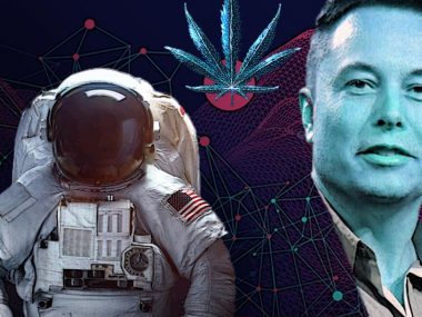 cannabis-im-weltall-elon-musk