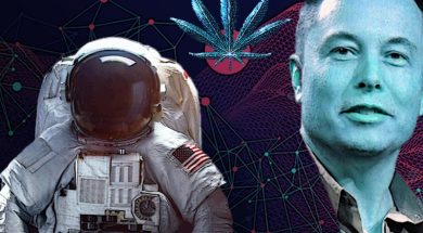 cannabis-im-weltall-elon-musk