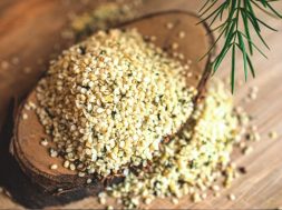 Hanfbrot-1024×576