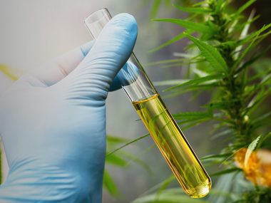 Cannabis-Corona-cbd-kanada1