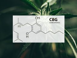 cbg-cannabigerol