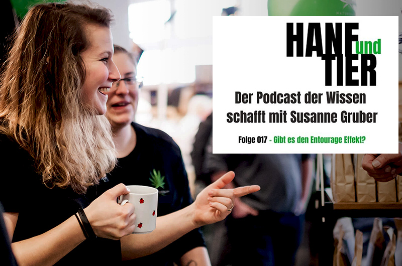 Podcast: Gibt es den Entourage Effekt?