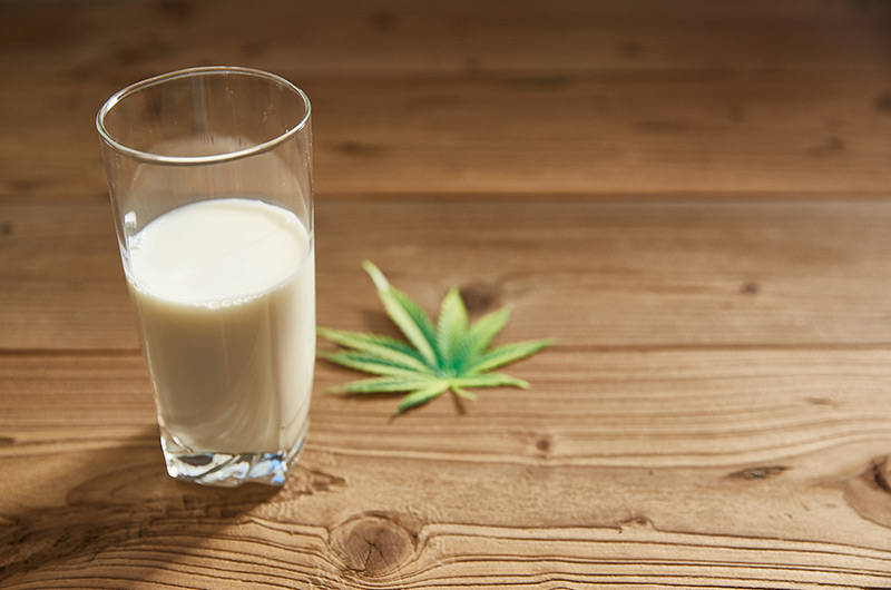 Rezept: Heiße Cannabis Milch selbermachen