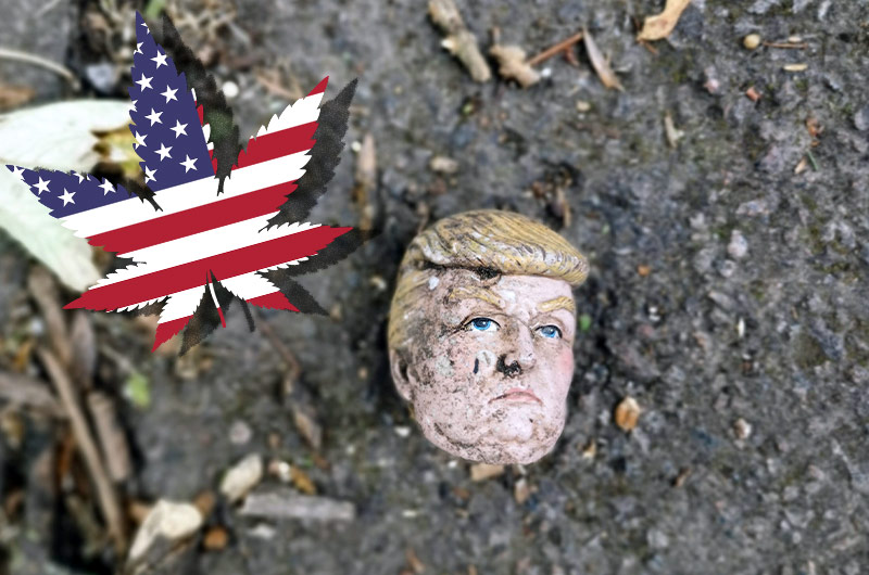 Wahlkampf USA: Standpunkt von Biden und Trump zur Cannabis-Legalisierung