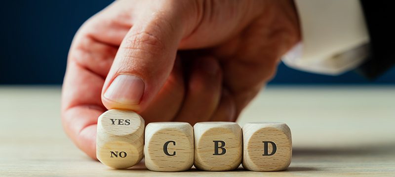 cbd-verbot-eu-daniela-ludwig