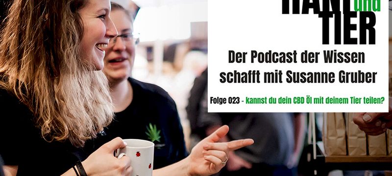 Titelbild-Podcast_Folge023