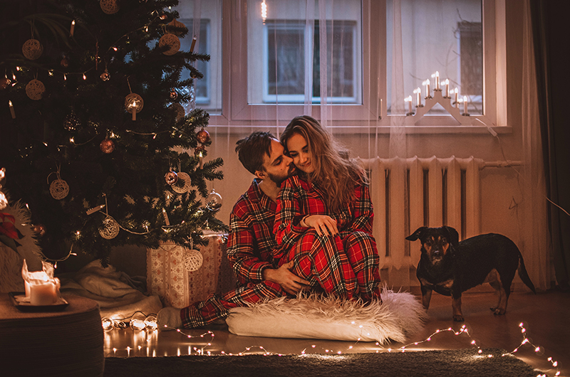 Podcast: Weihnachten mit dem Haustier – Vorsicht ist geboten…