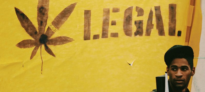 Legalisierungsjahr 2021? Der USA Cannabis-Boom weiter im Steilflug