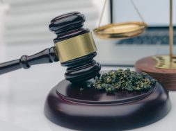 cannabis-haschisch-liste-drogen-gestrichen