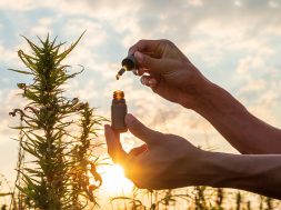 podcast-cbd-krebs