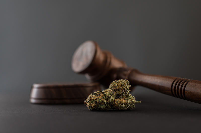 Hanfbar-Urteil: CBD Blüten laut Bundesgerichtshof legal