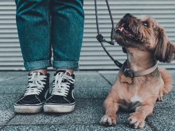 Podcast: Was, wenn CBD nicht hilft – ein Interview mit Susanne Steffen