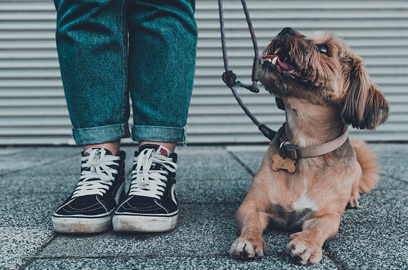 Podcast: Was, wenn CBD nicht hilft – ein Interview mit Susanne Steffen