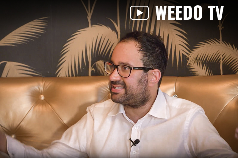 Weedo TV: Niema Movassat und seine Einstellung zu Cannabis