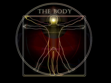 THEBODY-CBDMesse