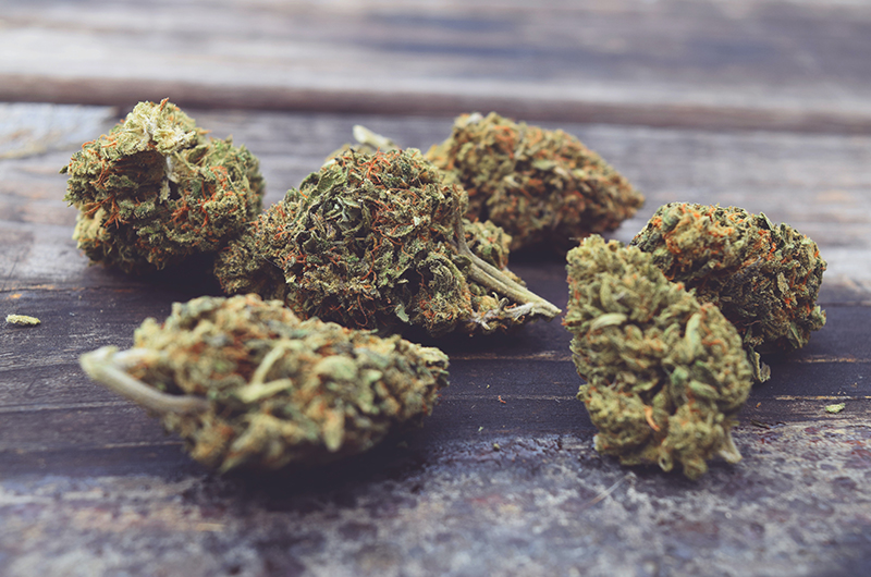 Frankreich atmet auf: CBD Blüten vorerst wieder legal