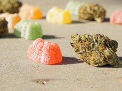 Edibles-Weedo-Magazin
