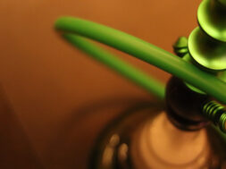 Shisha-Gras-Rauchen-Magazin-2