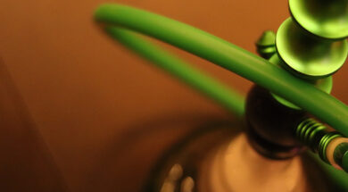 Shisha-Gras-Rauchen-Magazin-2